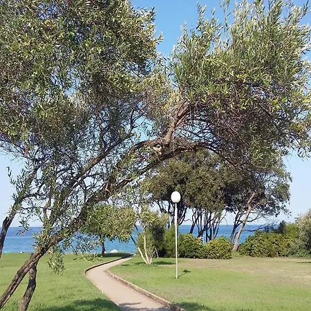 Kazamasavani *